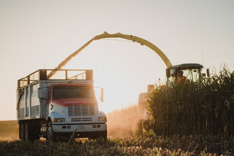 Chopping silage on a Nebraska farm